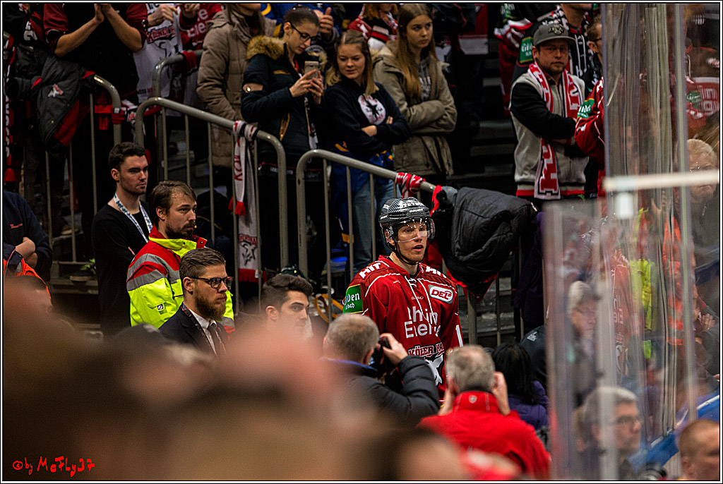 Koelner Haie - Nuernberger Ice Tiger, 04.12.2016